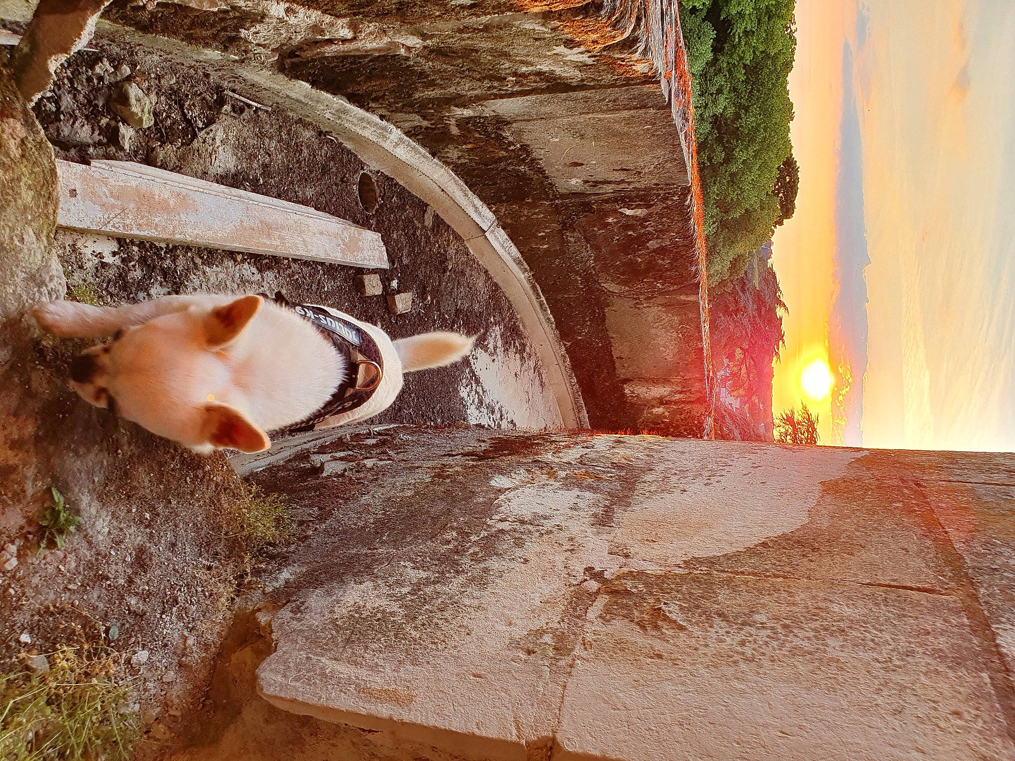 Loulou participe au concours pour gagner de l'argent avec cette photo : arch, art, brick, eyewear, glasses, goggles, grass, landscape, orange, plant, reflection, rock, shadow, soil, sunglasses, tints_and_shades, tree, trunk, vision_care, wood