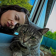 Kiki a rejoint le concours — aidez-le/la à gagner de superbes lots ! cat, gray_cat, tabby, pet, animal, whiskers, green_eyes, furry, sitting, paws, closeup, portrait, selfie, person, face, puckered_lips, window, outdoor, backyard, trees