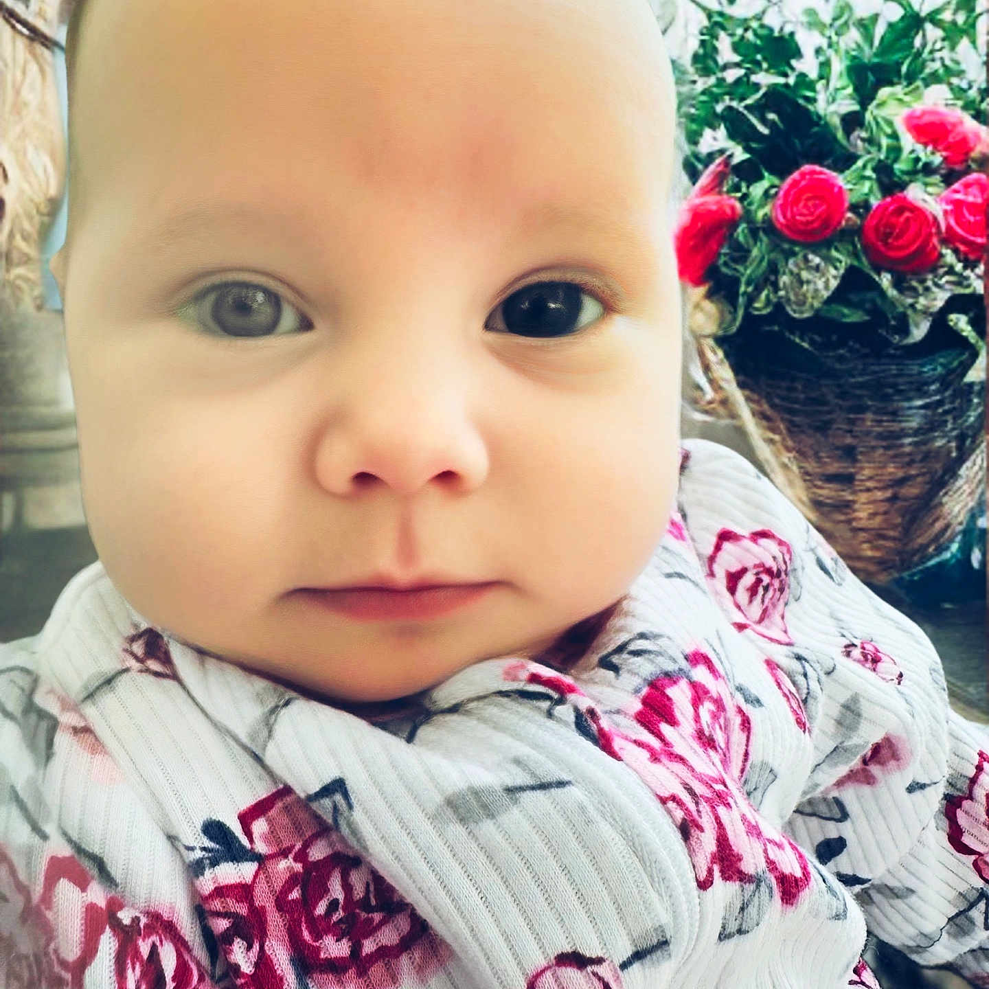 Adalyn joined the competition — help win amazing prizes! baby, clothing, coat, dahlia, daisy, face, flower, flowerarrangement, flowerbouquet, geranium, head, herbal, herbs, person, petal, photography, plant, portrait, pottedplant, rose