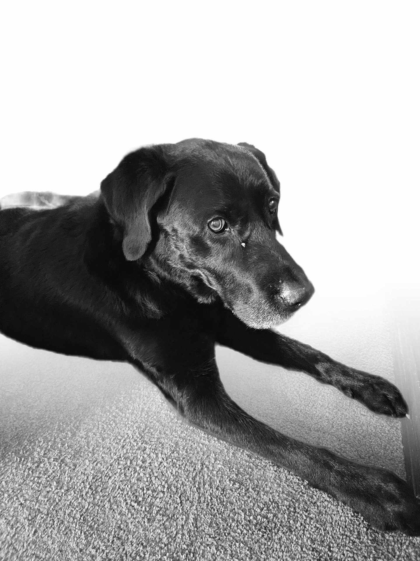 Rocky