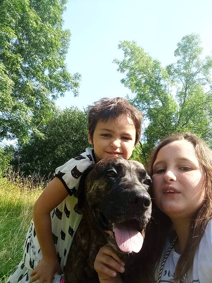 Nigloo a rejoint le concours — aidez-le/la à gagner de superbes lots ! carnivore, companion_dog, dog, dog_breed, event, face, fawn, fun, grass, happy, leisure, people_in_nature, plant, sky, smile, snout, sporting_group, toddler, tree, working_animal