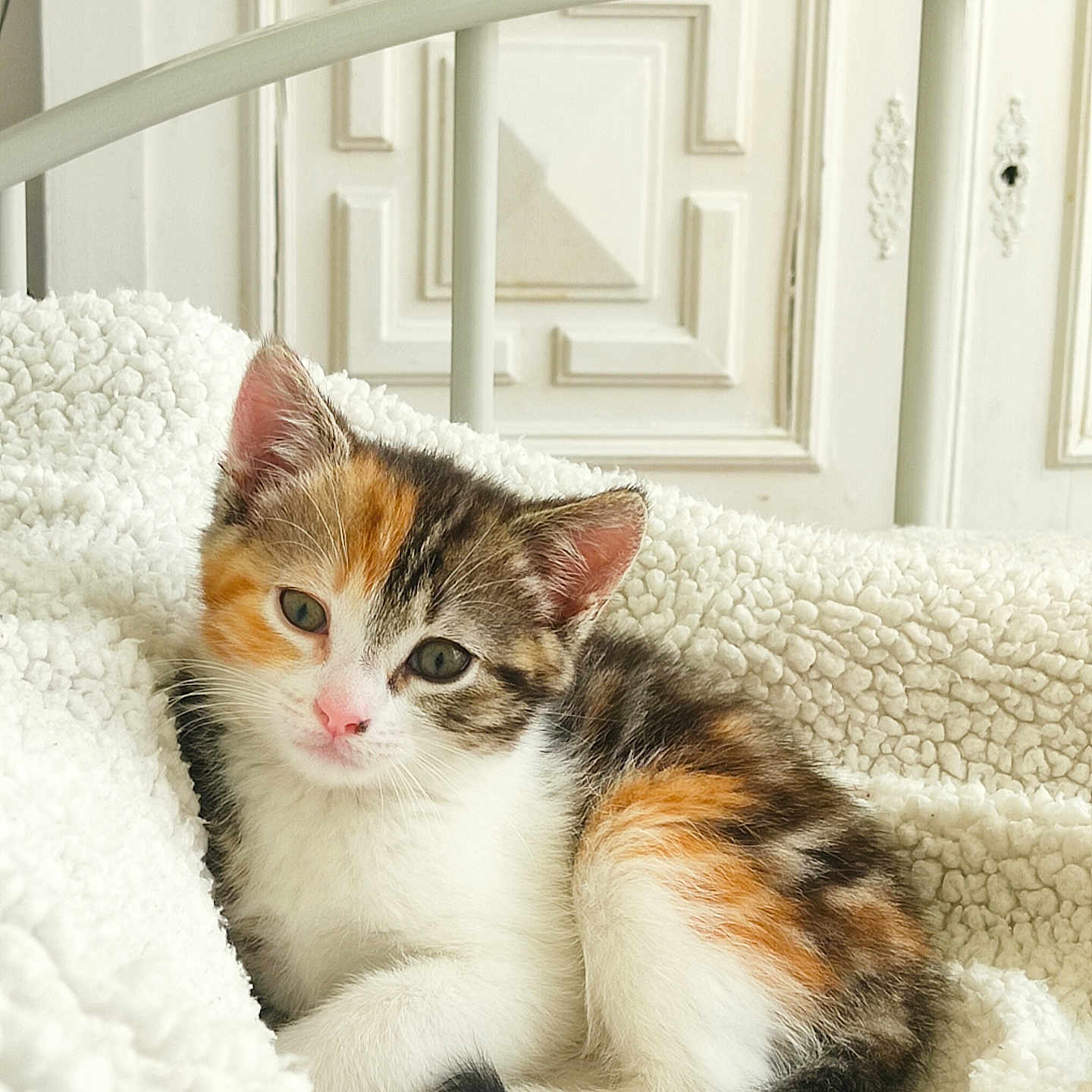 Nala