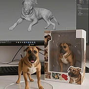 Mufasa is registered to the contest to win money with this photo: dog, figurine, 3d_model, computer_screen, keyboard, packaging_box, desk, realistic, brown_dog, white_chest, digital_art, workspace, technology, model_display, pet_figure, studio, plastic_base, artwork, toy, design