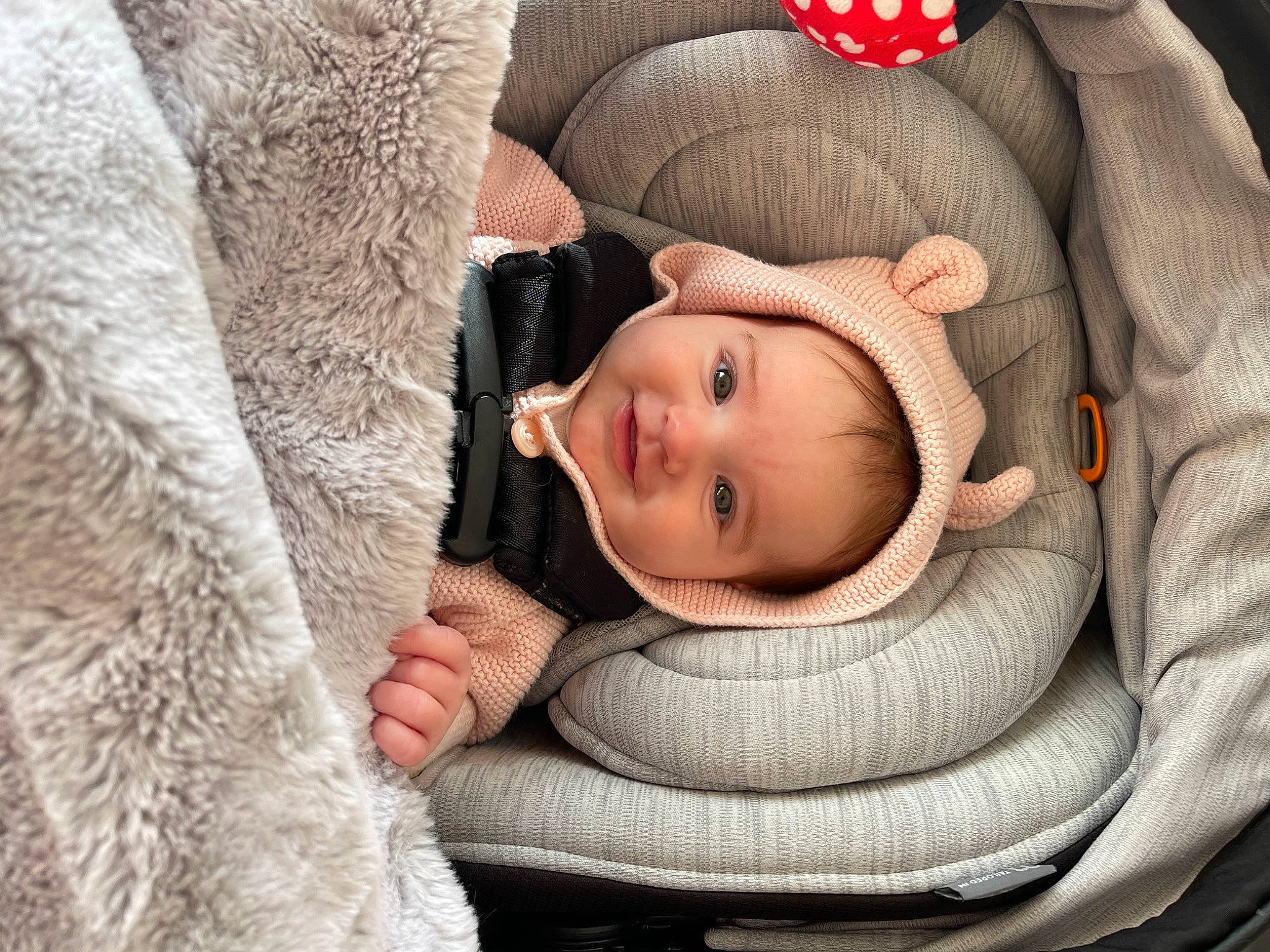 Aspen is registered to the contest to win money with this photo: baby, baby_products, baby_toddler_clothing, cheek, child, comfort, eye, face, grass, grey, head, headgear, joy, mammal, nose, person, sitting, skin, sleeve, smile