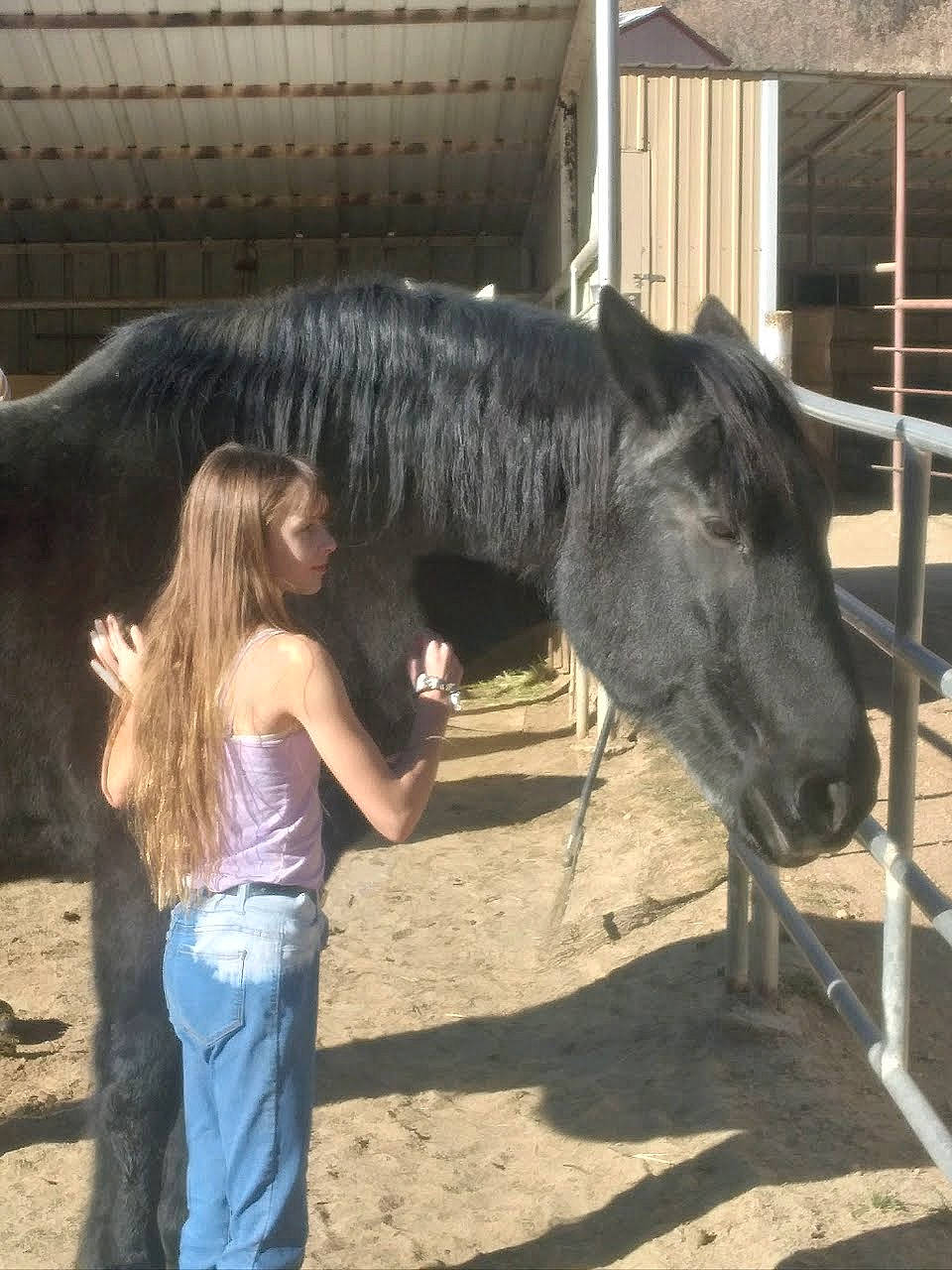 Kaitlyn joined the competition — help win amazing prizes! bovine, bridle, dairy, fence, fur, goats, horse, horse_supplies, landscape, livestock, mane, mare, pack_animal, person, pony, ranch, snout, stable, stallion, terrestrial_animal