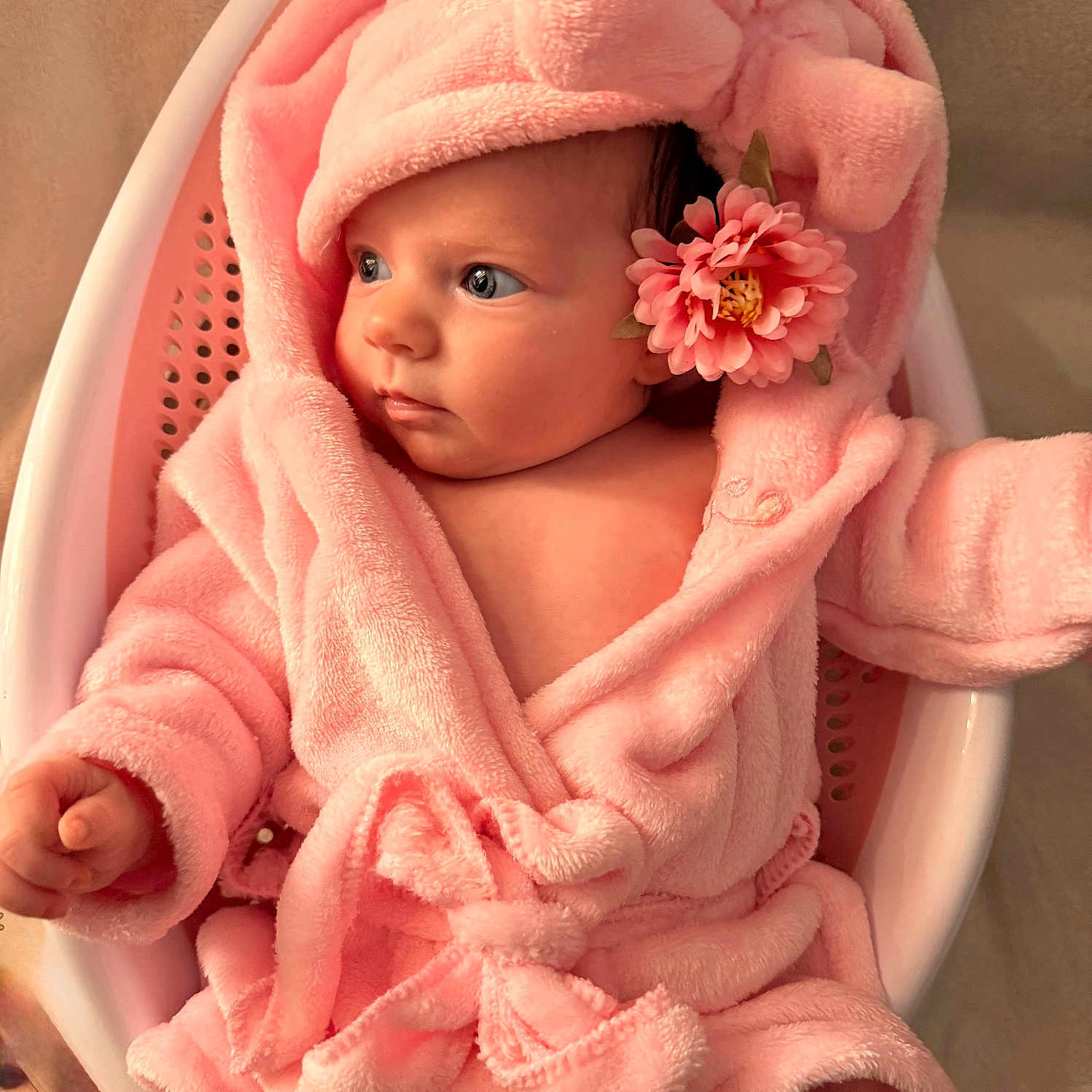 Iris participe au concours pour gagner de l'argent avec cette photo : baby, basket, bow, child, clothing, cute, face, flower, hand, headwear, indoor, infant, looking, pink, portrait, robe, sitting, skin, soft, toddler