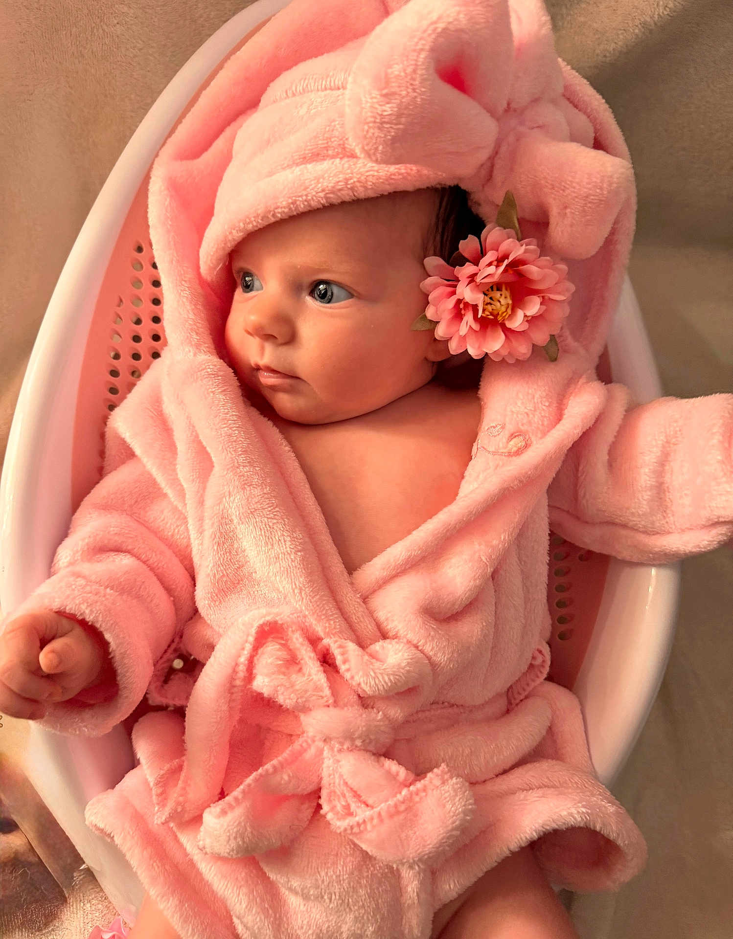 Iris participe au concours pour gagner de l'argent avec cette photo : baby, pink, robe, bow, flower, basket, infant, soft, cute, child, toddler, portrait, indoor, clothing, headwear, face, skin, hand, sitting, looking