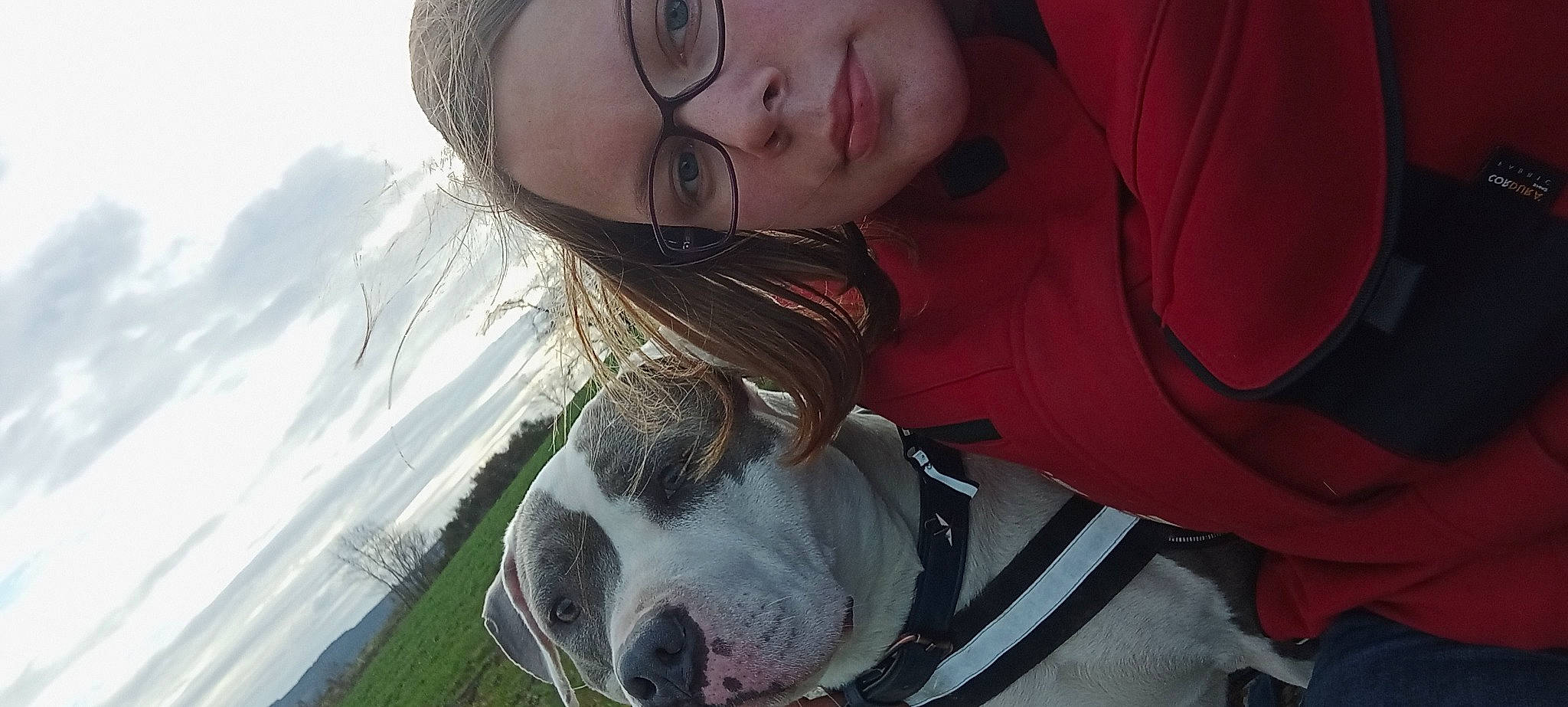 Saw a rejoint le concours — aidez-le/la à gagner de superbes lots ! carnivore, collar, companion_dog, cool, dog, dog_breed, ear, eyewear, fawn, fun, glasses, grass, happy, head, jaw, nose, organ, snout, vision_care, whiskers