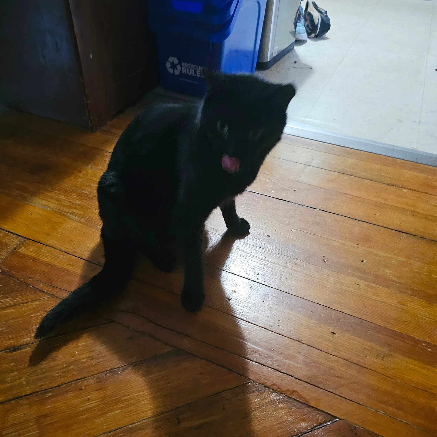Loki