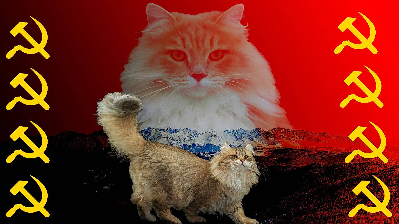 Raiden a rejoint le concours — aidez-le/la à gagner de superbes lots ! art, carnivore, cat, claw, electric_blue, event, fawn, felidae, font, fur, happy, iris, organism, paw, photo_caption, ragdoll, small_to_medium_sized_cats, snout, tail, whiskers