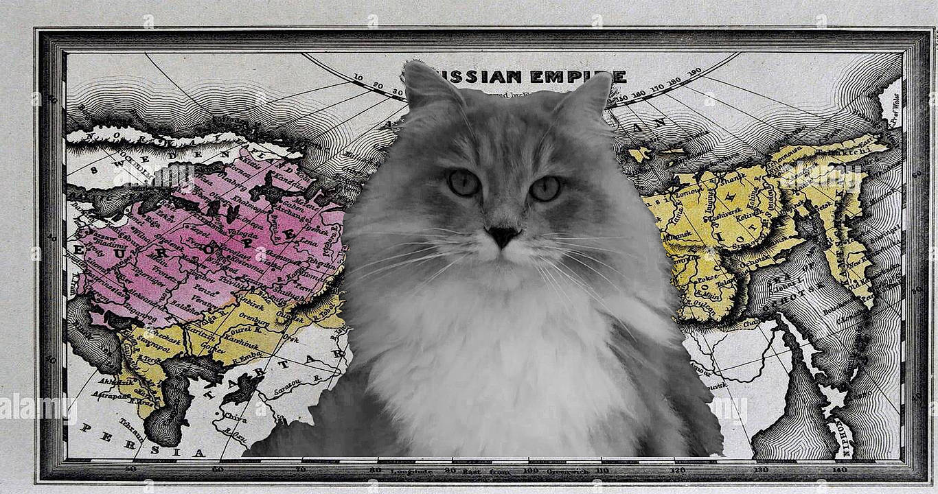 Raiden participe au concours pour gagner de l'argent avec cette photo : art, carnivore, cat, drawing, felidae, font, fur, graphics, illustration, monochrome, monochrome_photography, painting, photo_caption, plant, rectangle, small_to_medium_sized_cats, snout, terrestrial_animal, tree, whiskers