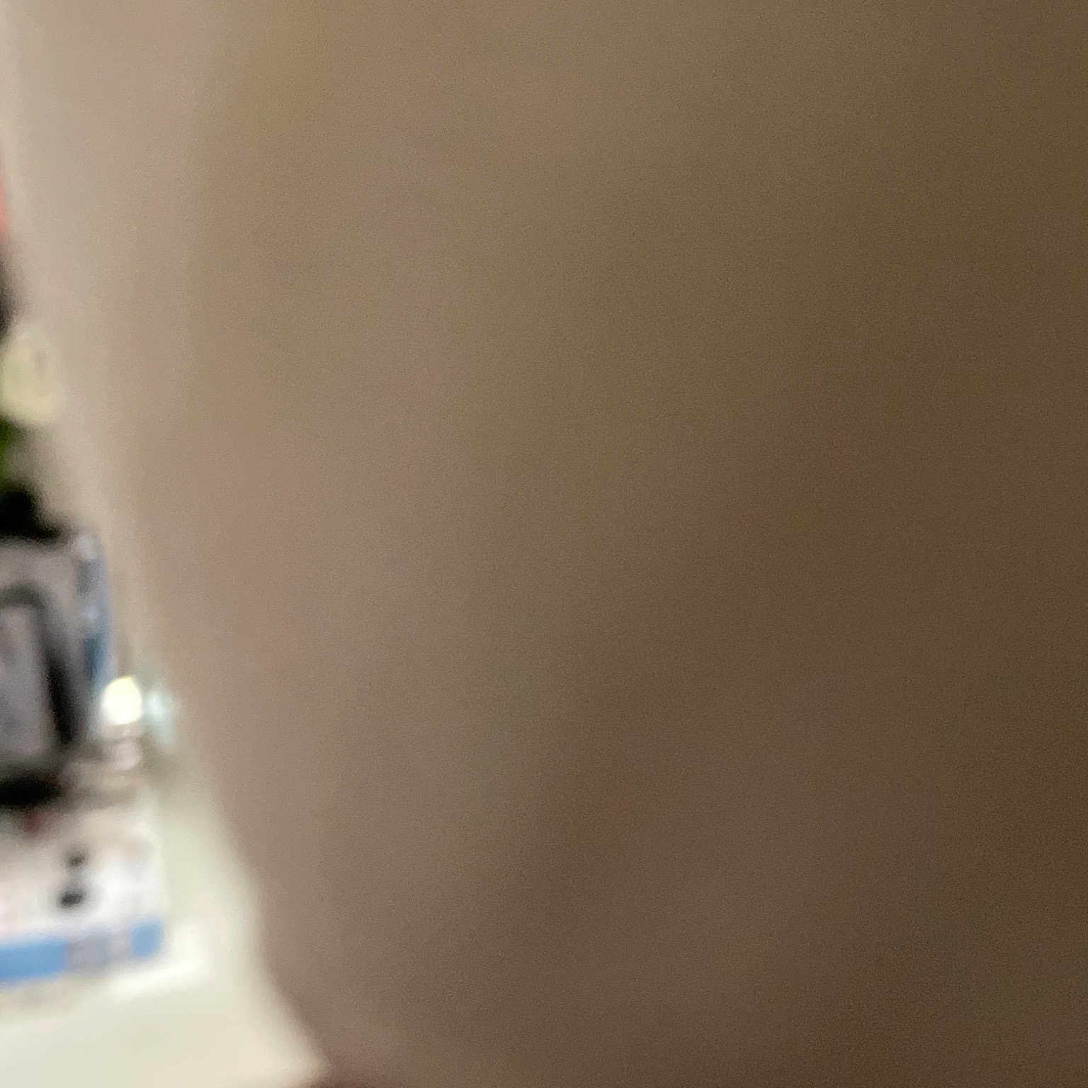 Everly joined the competition — help win amazing prizes! ceiling, flooring, glass, hardwood, human_leg, laminate_flooring, personal_protective_equipment, plaster, wood