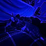 bedroom, blanket, blue_light, cat, comfort, cozy, domestic_cat, feline, furniture, home, indoor, nighttime, pet, plaid, quiet, relaxing, resting, sleeping, soft, striped_cat