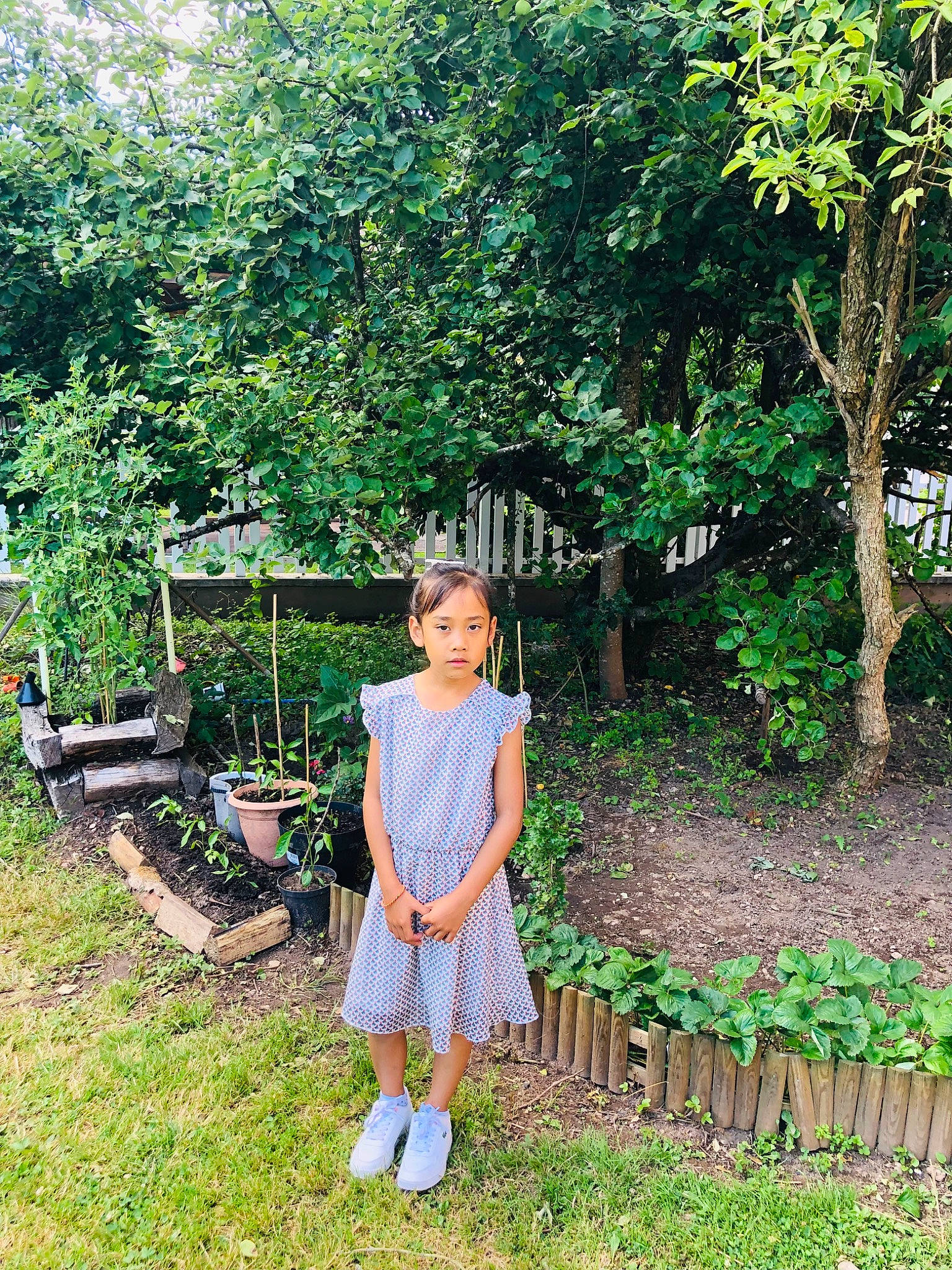 Lauren participe au concours pour gagner de l'argent avec cette photo : bench, garden, grass, jungle, landscape, landscaping, leaf, leisure, pattern, people_in_nature, person, plant, plantation, recreation, sandal, shade, shrub, spring, tourism, tree