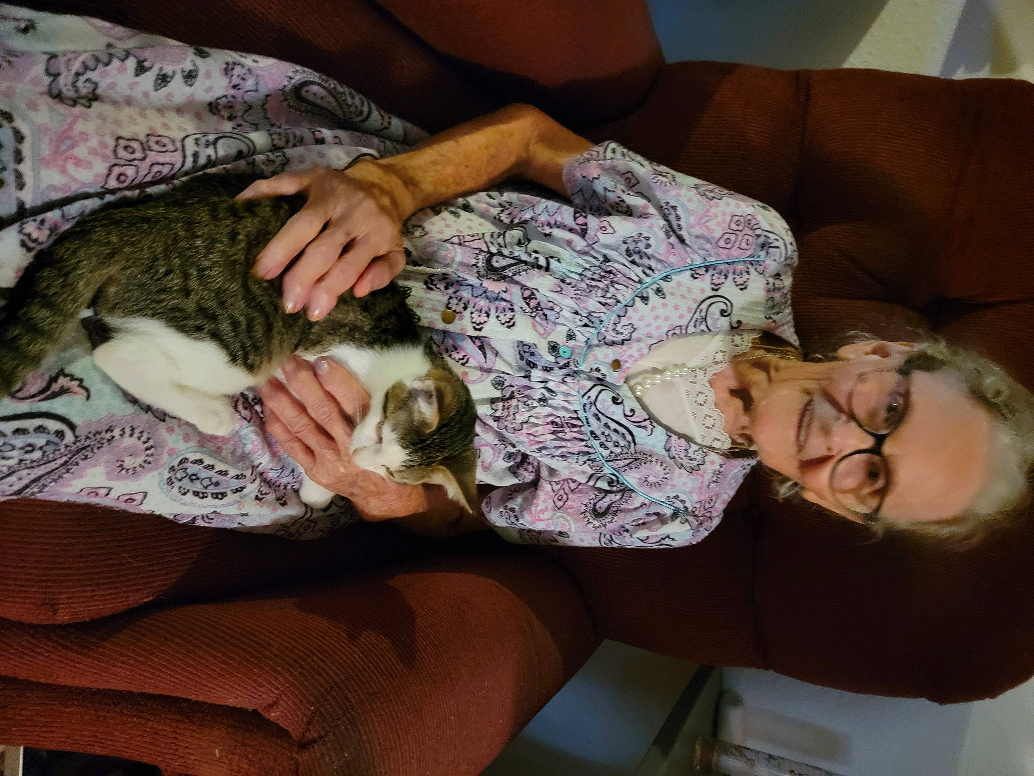 Clementine is registered to the contest to win money with this photo: carnivore, comfort, couch, eyewear, fawn, felidae, finger, fur, hand, human_leg, interaction, knee, lap, linens, nail, nap, sitting, small_to_medium_sized_cats, thigh, whiskers