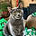 Conway Kitty