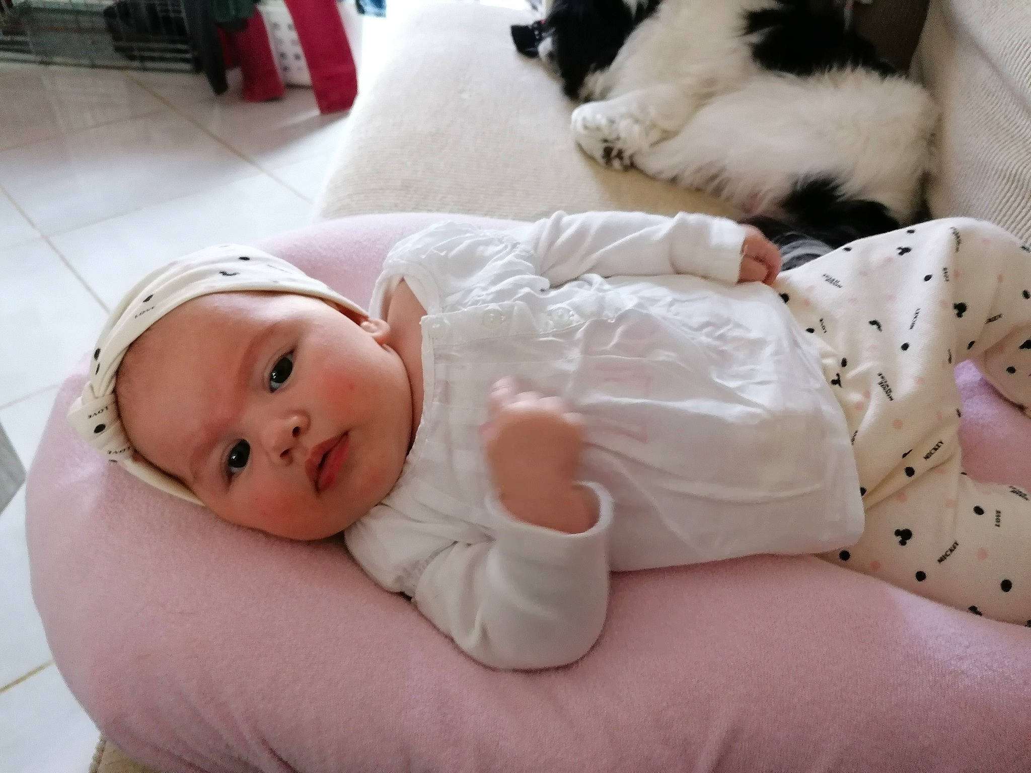 Chloé participe au concours pour gagner de l'argent avec cette photo : baby, baby_sleeping, bedtime, canidae, cat, cheek, child, companion_dog, ear, fur, head, headwear, nap, nose, person, puppy_love, skin, sleep, toddler