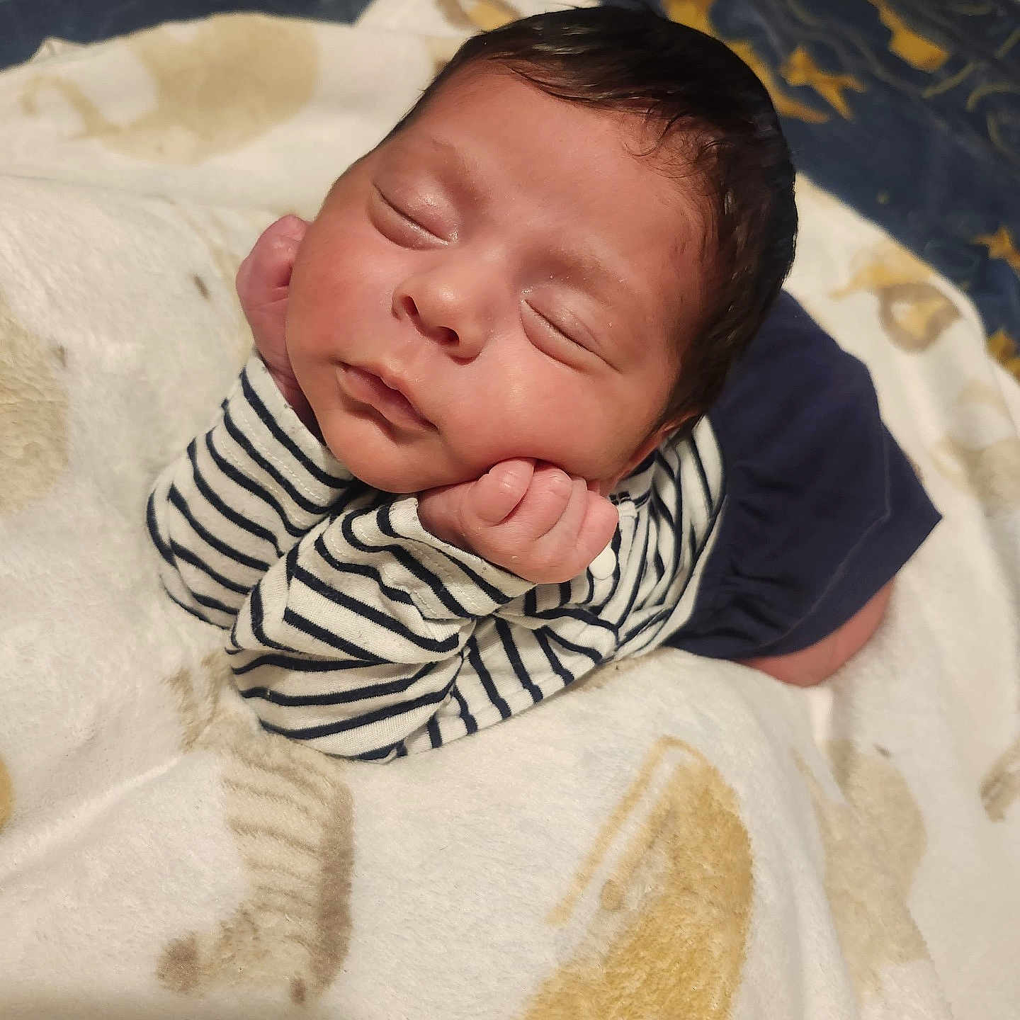 Aaron Aldama joined the competition — help win amazing prizes! animal_print, baby, baby_boy, baby_girl, blanket, child, closed_eyes, clothing, cute, face, hands, indoors, infant, newborn, peaceful, portrait, resting, sleeping, soft_texture, striped_shirt
