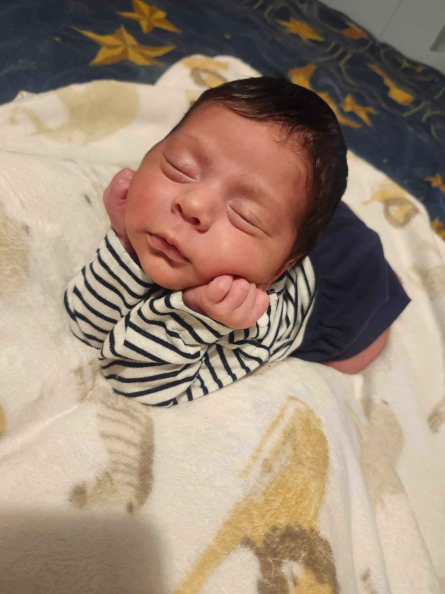Aaron Aldama joined the competition — help win amazing prizes! baby, newborn, sleeping, striped_shirt, blanket, animal_print, infant, cute, face, hands, resting, soft_texture, child, portrait, indoors, peaceful, closed_eyes, clothing, baby_girl, baby_boy