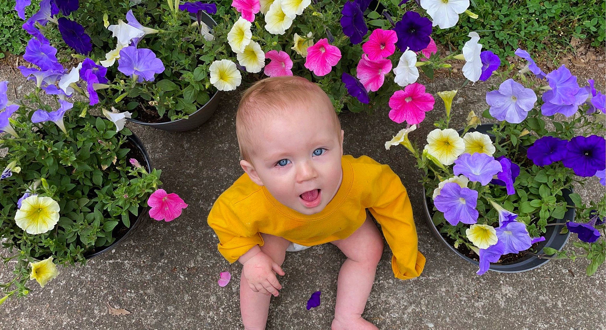 Grayson is registered to the contest to win money with this photo: annual_plant, baby_laughing, baby_toddler_clothing, beauty, flower, flower_arranging, flowerpot, grass, groundcover, happy, leaf, magenta, people_in_nature, person, petal, pink, plant, purple, shrub, smile