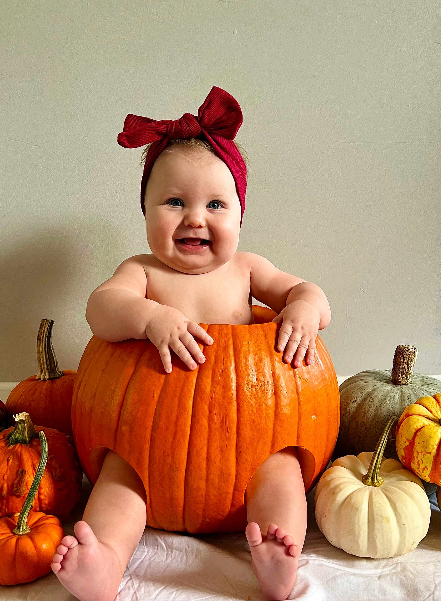 Alexandra joined the competition — help win amazing prizes! baby, pumpkin, red_bow, smiling, autumn, holiday, cute, child, orange, white_pumpkin, green_pumpkin, decor, festive, sitting, indoors, headwear, happy, skin, toes, hands