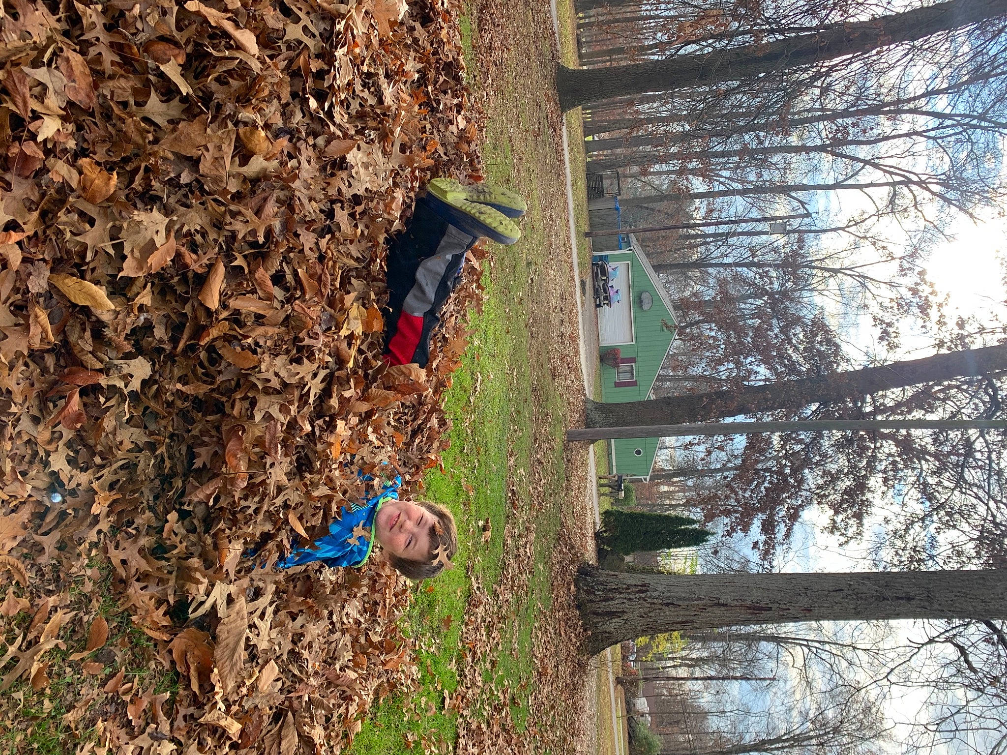 Camdyn is registered to the contest to win money with this photo: biome, building, grass, groundcover, house, joy, landscape, natural_material, person, plant, sky, soil, tree, trunk, twig, wood