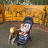 art, baby, bronze_statue, child, clothing, elephant, footwear, greenery, ground, mural, nature, outdoor, park, person, playground, sculpture, serious_expression, shade, stroller, wall_art