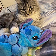 Ully participe au concours pour gagner de l'argent avec cette photo : cat, plush_toy, bed, blanket, gray_cat, white_paws, stuffed_animal, indoor, cozy, cute, pet, animal, fur, ears, whiskers, relaxed, toy, resting, domestic, sleepy