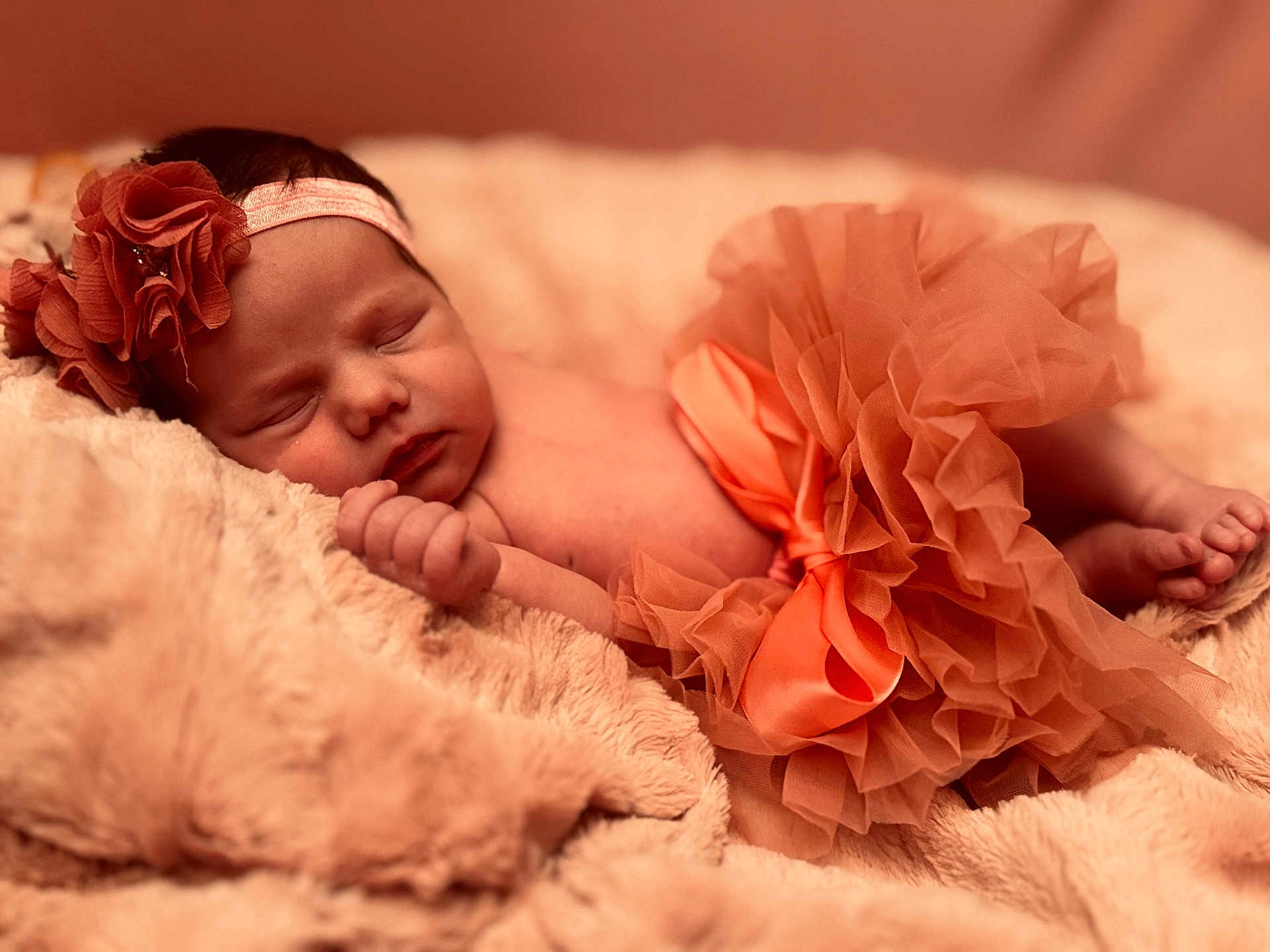 Isla joined the competition — help win amazing prizes! newborn, baby, sleeping, headband, flower, tutu, blanket, soft, closeup, infant, cute, resting, peaceful, skin, portrait, fuzzy, pink, orange, cozy, delicate