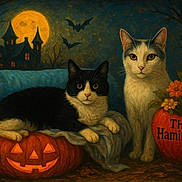 Ahnixx joined the competition — help win amazing prizes! cat, black_and_white_cat, white_cat, jack_o_lantern, pumpkin, flowers, heart_shaped_vase, full_moon, haunted_house, bats, night, spooky, halloween, orange, leaves, tree_branches, sitting, posing, vase, fall