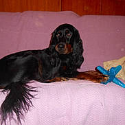 Grany participe au concours pour gagner de l'argent avec cette photo :