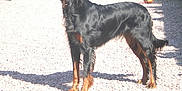 Grany participe au concours pour gagner de l'argent avec cette photo :