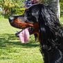 Grany participe au concours pour gagner de l'argent avec cette photo :