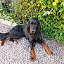 Grany participe au concours pour gagner de l'argent avec cette photo :