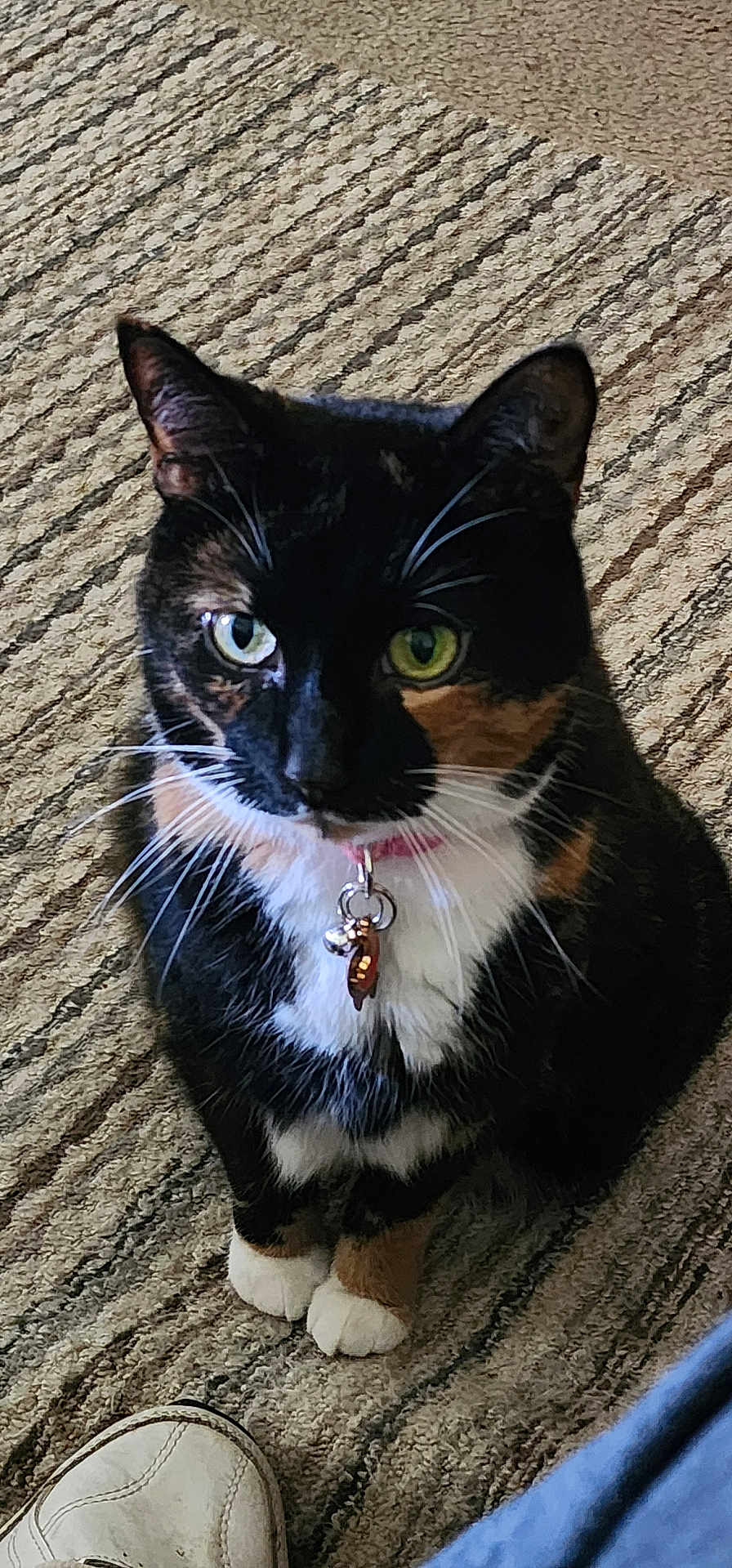 Patches