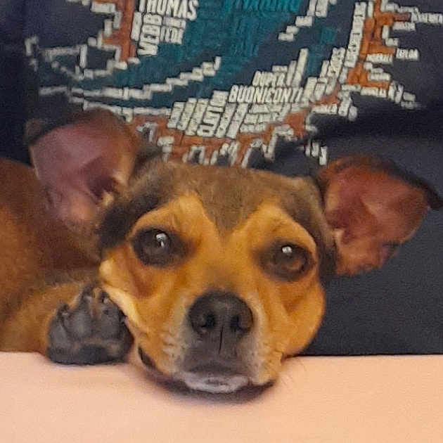 Manny