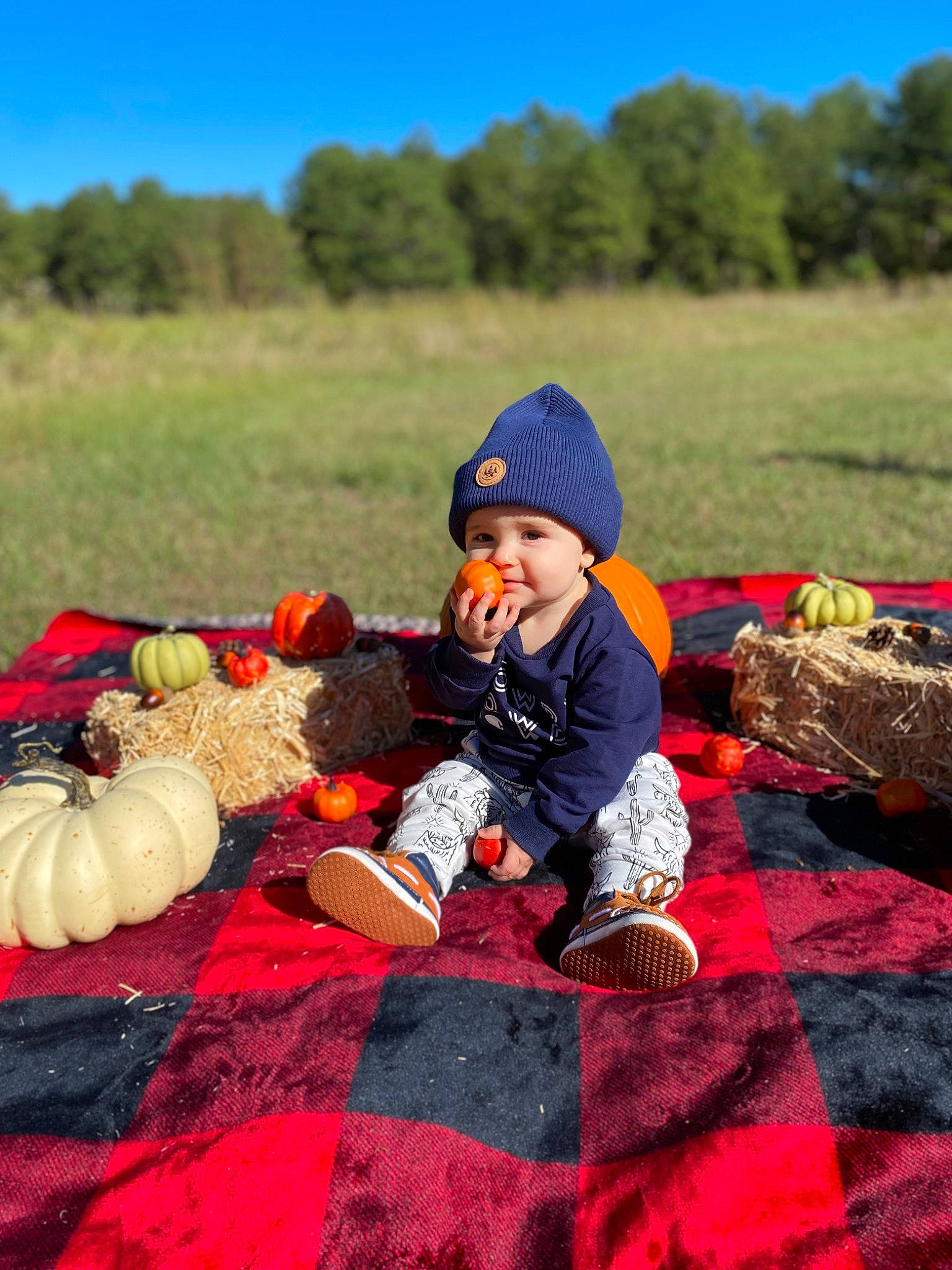 Jensen joined the competition — help win amazing prizes! baby, baby_toddler_clothing, calabaza, cap, child, fun, grass, happy, hat, headwear, landscape, leisure, people_in_nature, person, plant, pumpkin, recreation, sitting, sky, toddler