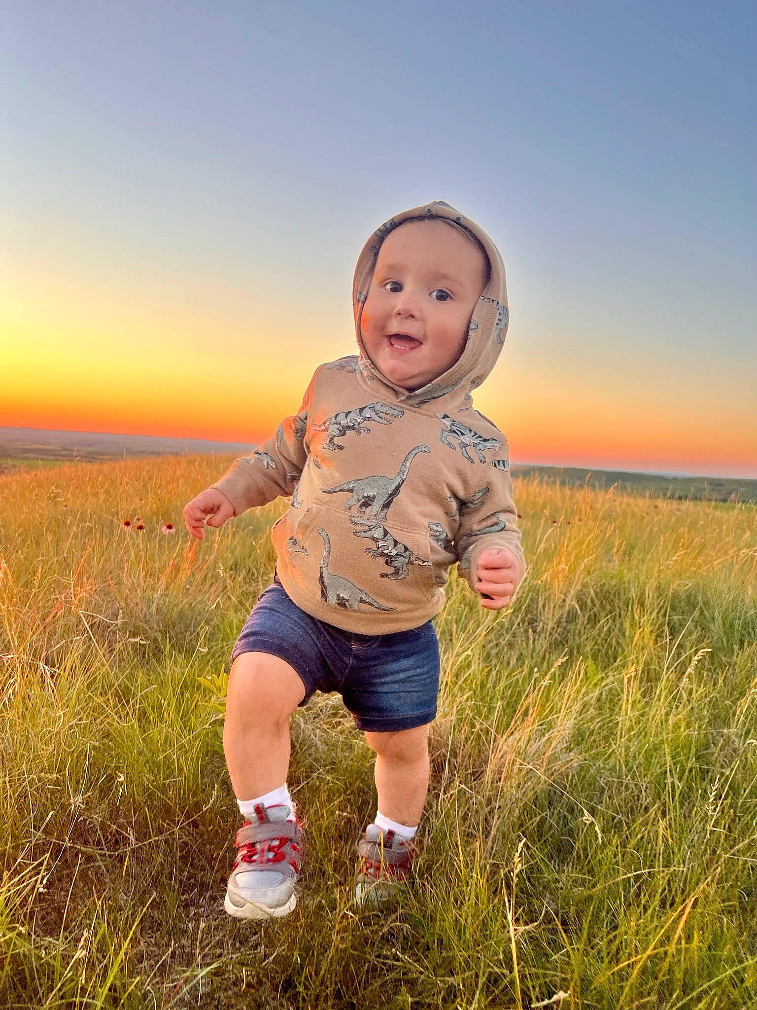 Hunter is registered to the contest to win money with this photo: baby, child, field, flash_photography, fun, gesture, grass, grass_family, grassland, happy, horizon, joy, landscape, meadow, people_in_nature, person, prairie, sand, sky, smile