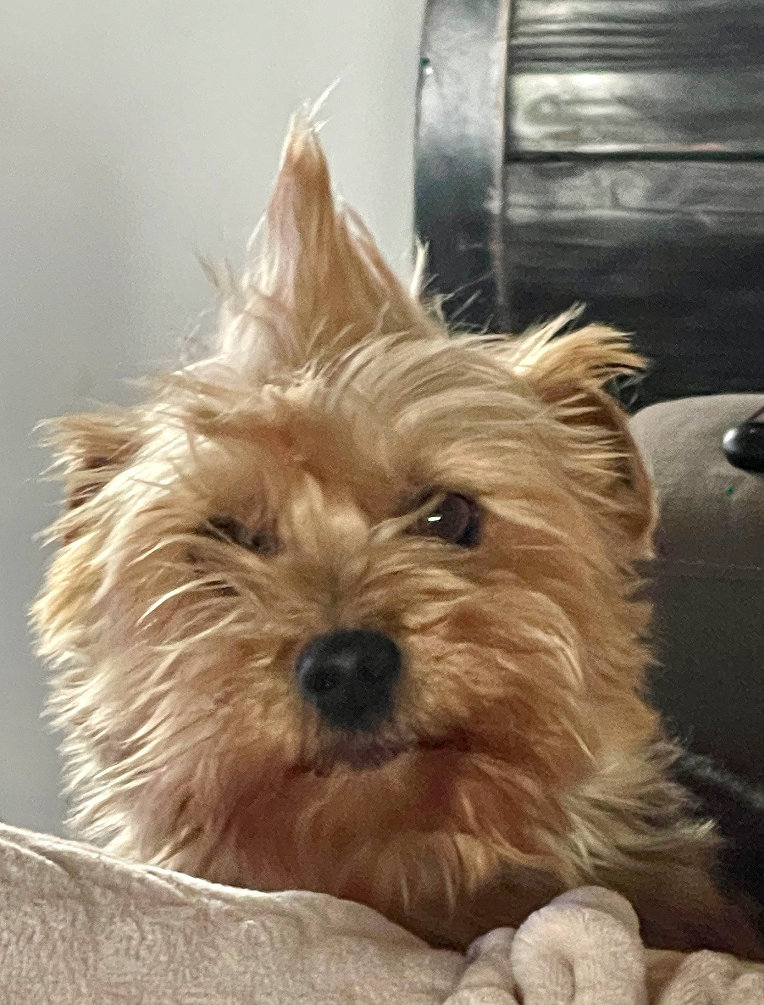 Narko