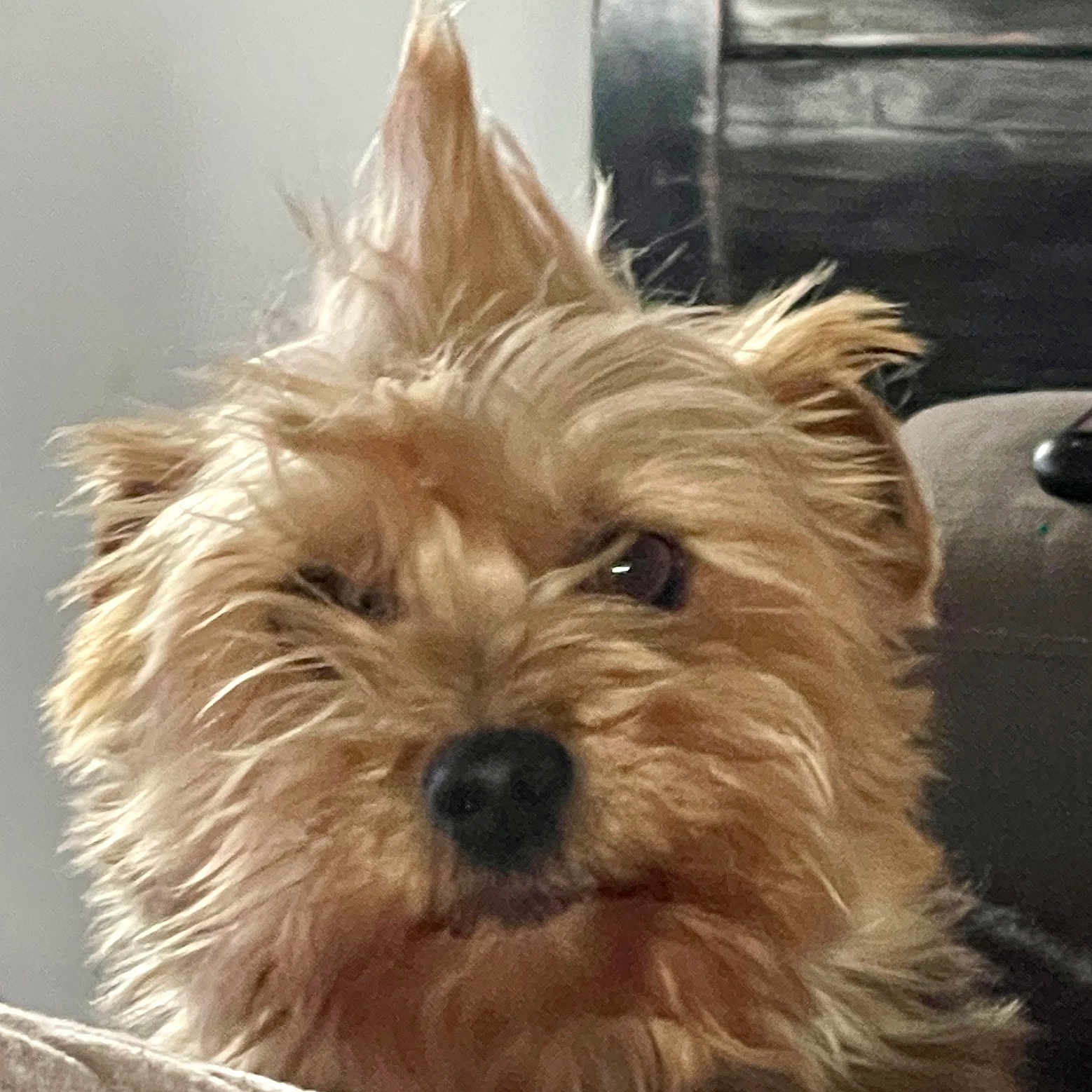 Narko