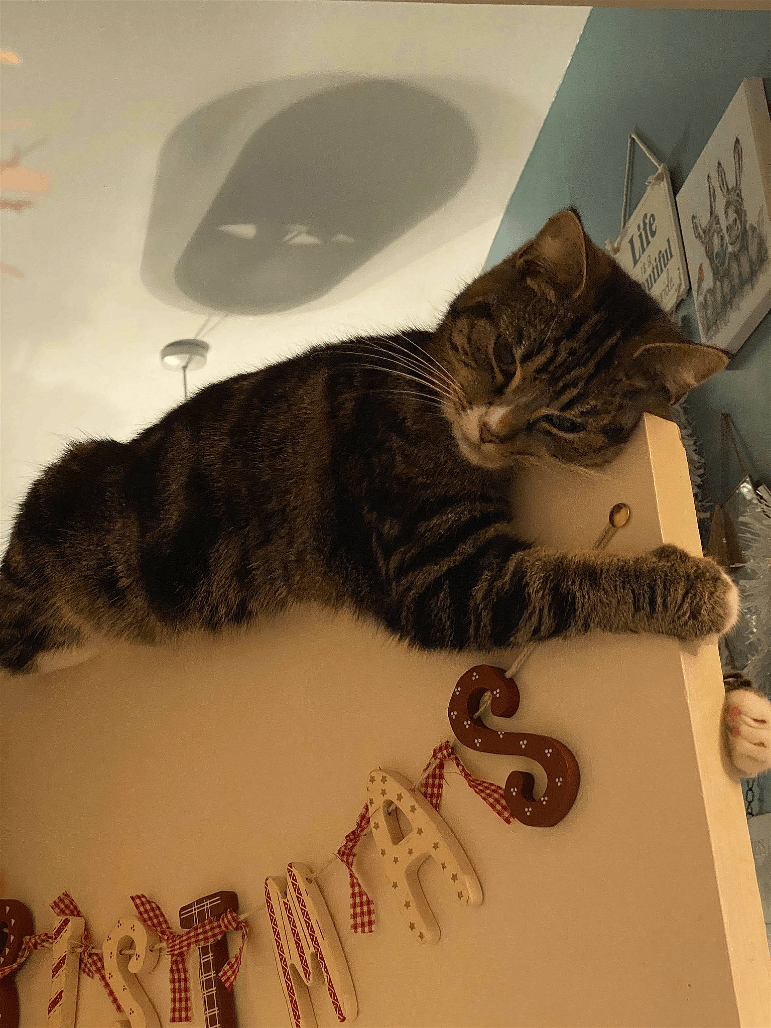 Luna joined the competition — help win amazing prizes! art, carnivore, cat, claw, comfort, domestic_short_haired_cat, felidae, fur, grey, linens, pattern, paw, room, small_to_medium_sized_cats, tail, textile, whiskers