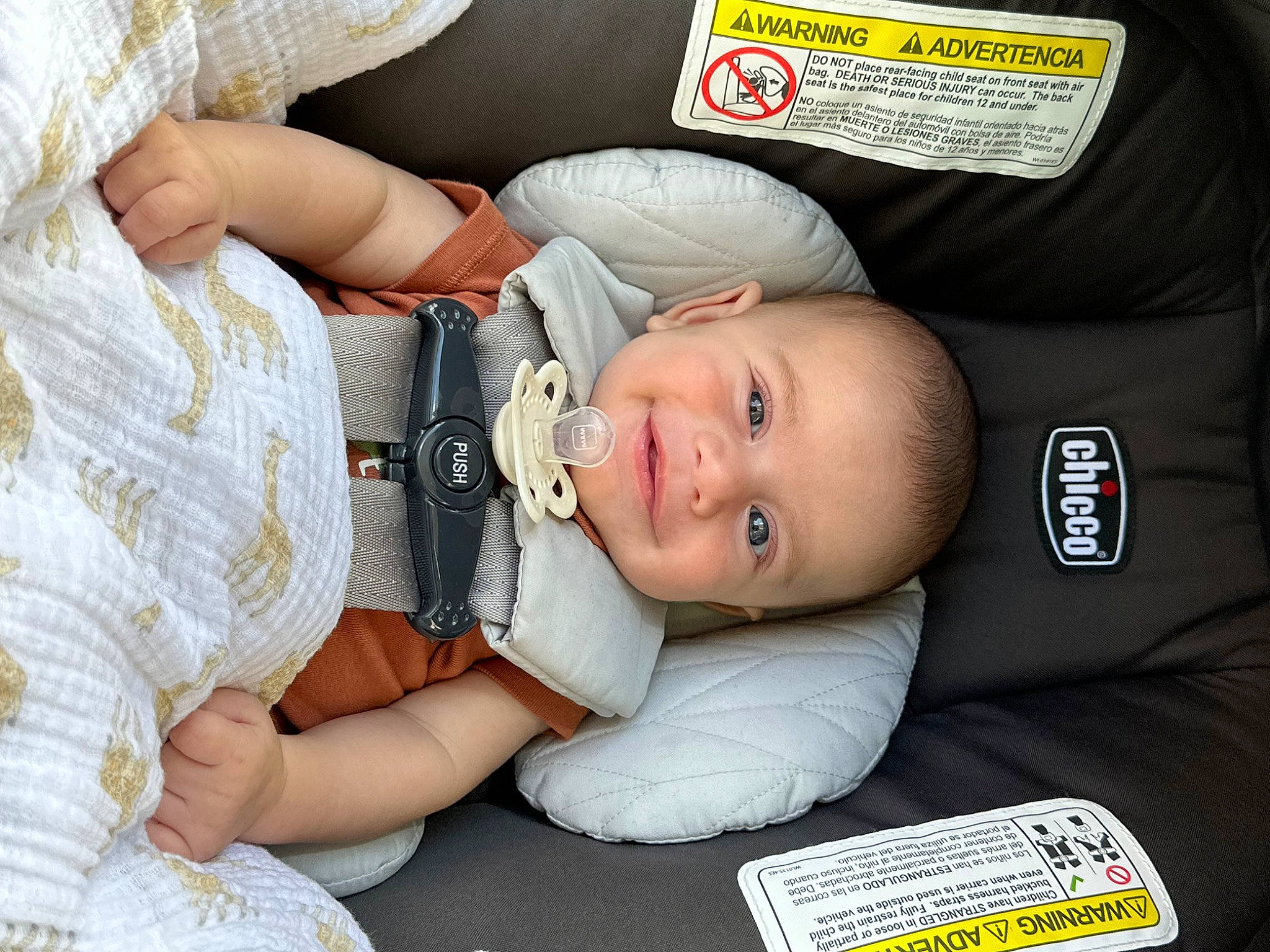 Cameron is registered to the contest to win money with this photo: baby, baby_carriage, baby_in_car_seat, baby_products, baby_safety, baby_toddler_clothing, car_seat, child, comfort, happy, joy, nail, pattern, person, portrait_photography, sitting, skin, smile, toddler, white