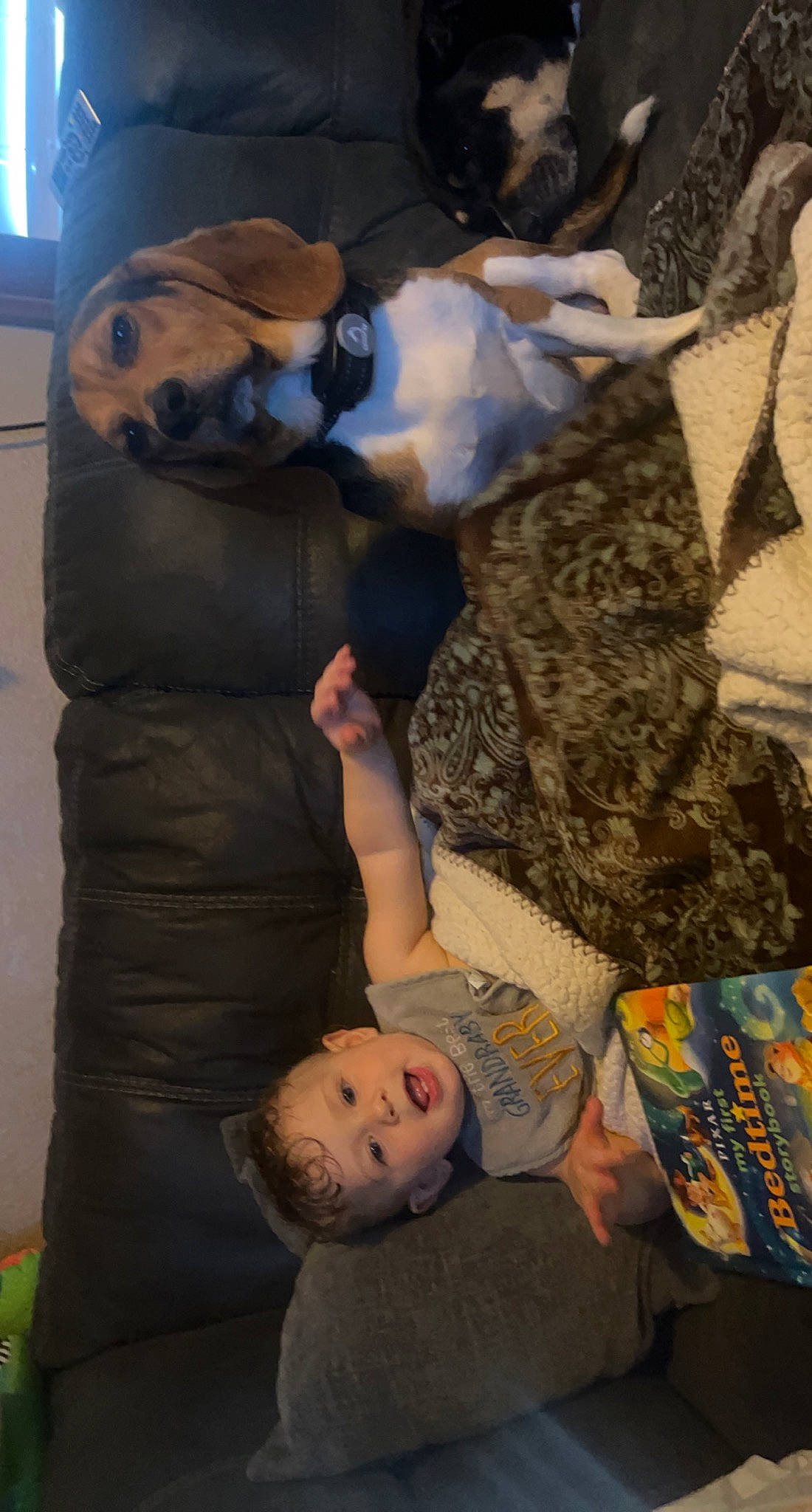 Liam joined the competition — help win amazing prizes! baby, child, comfort, fun, fur, gesture, hairstyle, leisure, mammal, person, photography, room, sitting, snapshot, stuffed_toy, suit, toddler, tree, visual_arts