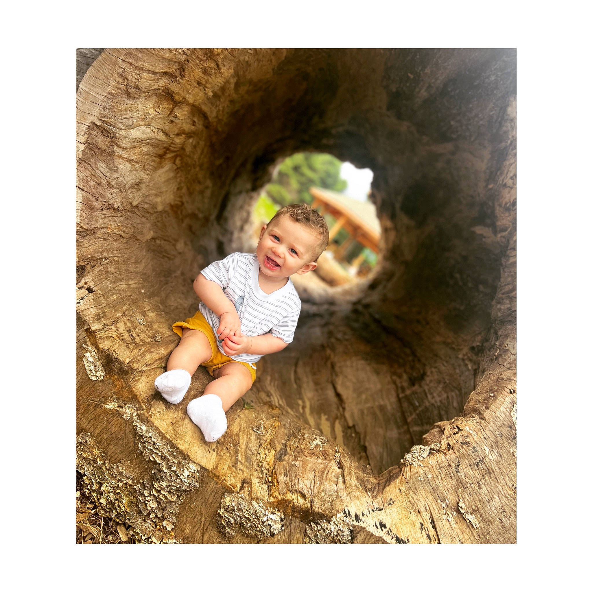 Liam is registered to the contest to win money with this photo: cave, child, flash_photography, font, fun, grass, happy, human_body, landscape, leisure, people_in_nature, person, recreation, rock, smile, soil, t_shirt, toddler, tree, trunk