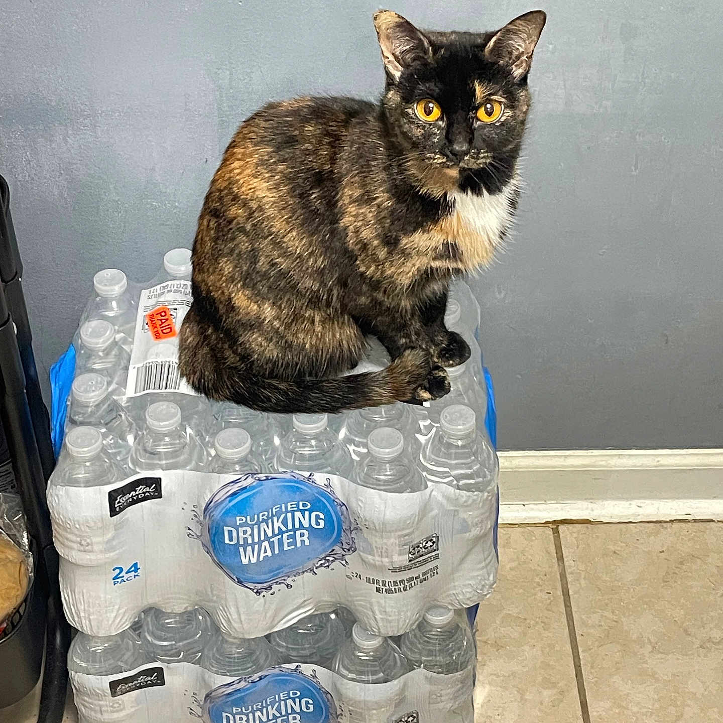 Tina