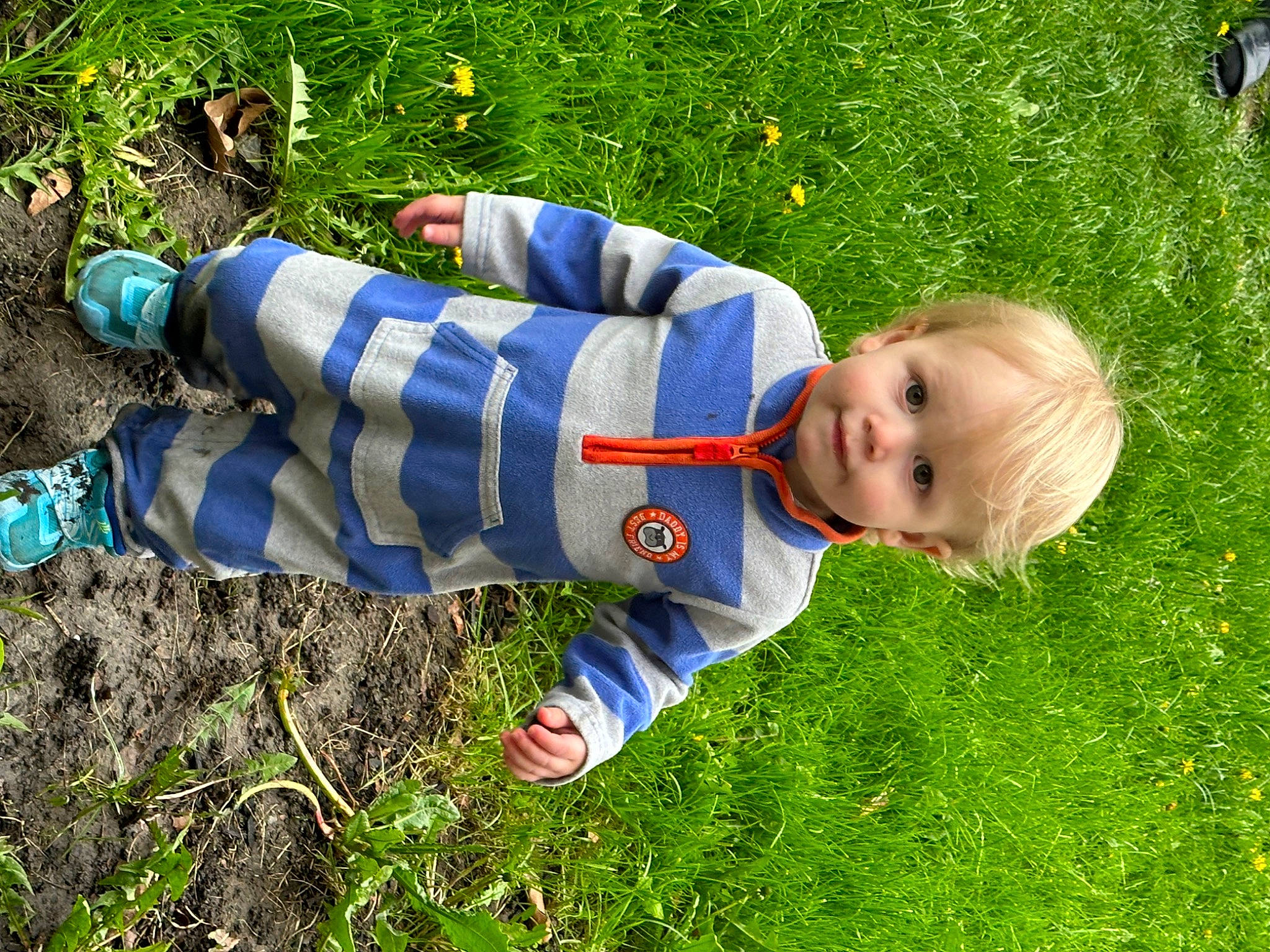 Levi is registered to the contest to win money with this photo: baby, baby_toddler_clothing, child, electric_blue, fun, grass, grassland, groundcover, happy, lawn, leisure, meadow, pattern, people_in_nature, person, plant, prairie, smile, soil, toddler