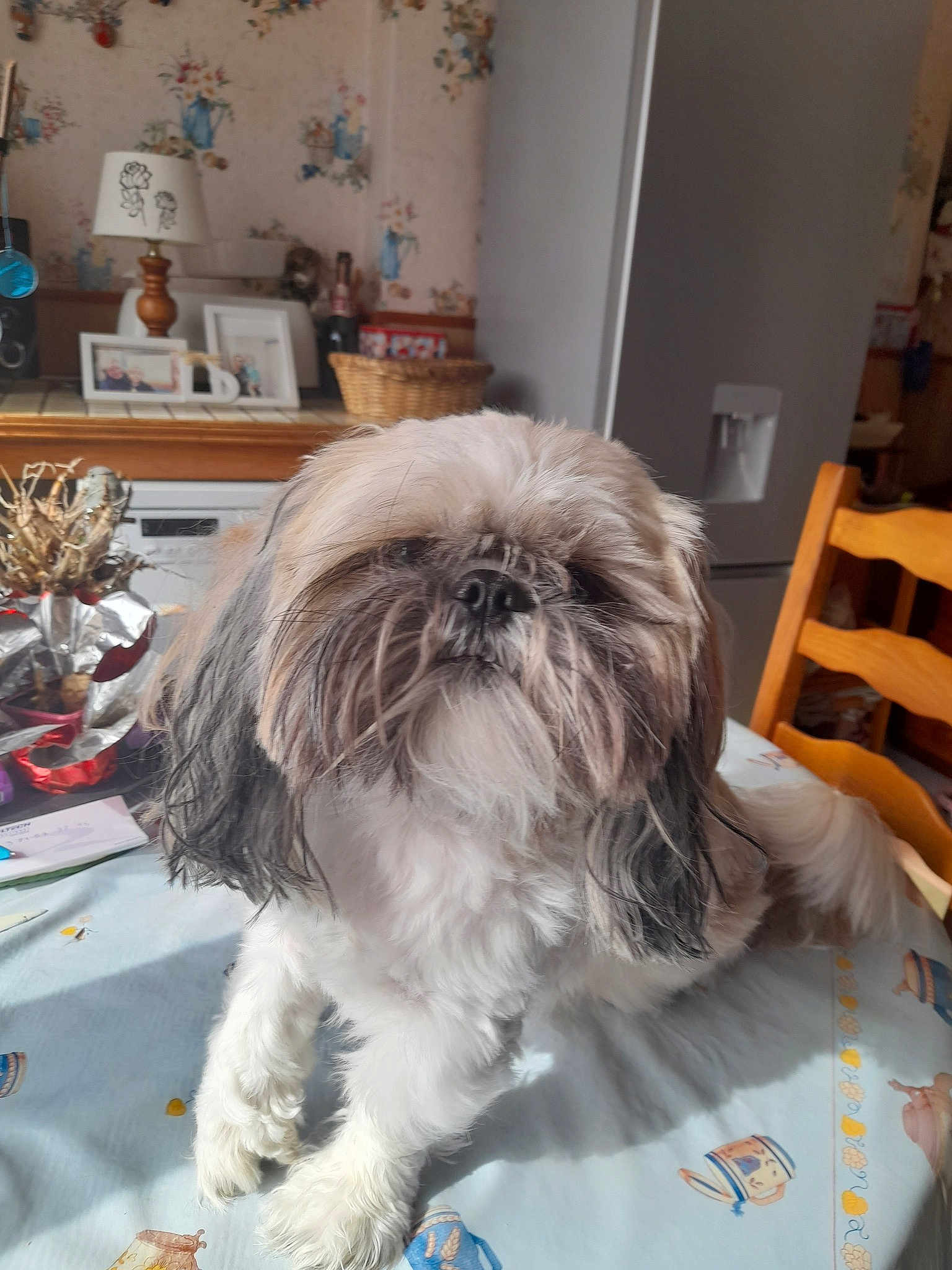 Roméo
