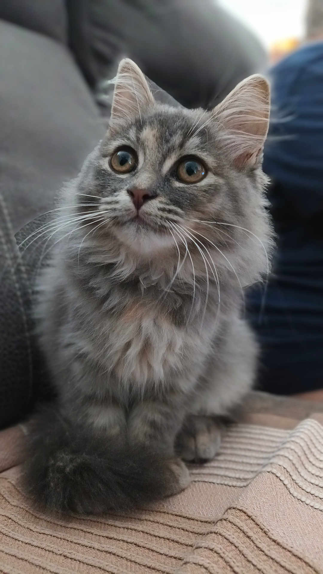 Osiris
