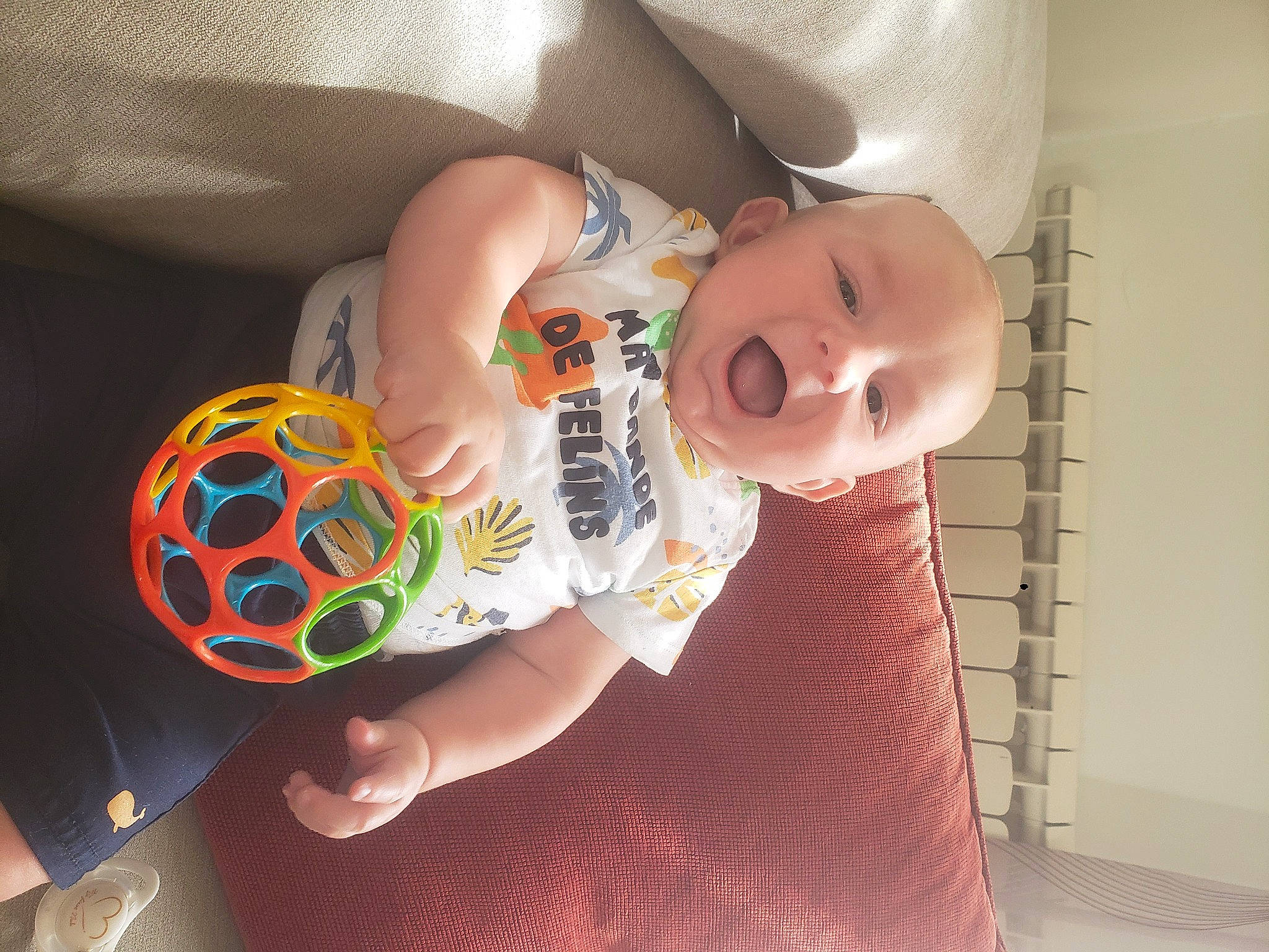 Ludwig participe au concours pour gagner de l'argent avec cette photo : baby, baby_products, baby_safety, baby_toddler_clothing, baby_toys, carmine, cheek, child, comfort, finger, foot, head, human_body, linens, nail, pattern, person, plastic, room, thumb