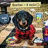 dog, puppy, dachshund, plaid_shirt, necklace, blanket, discman, headphones, caprisun, tamagotchi, lava_lamp, bracelets, floppy_disk, outdoor, grass, nostalgia, retro, toy, vintage, pet